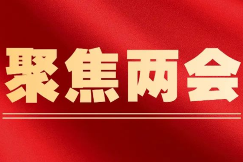 新征程凝聚奮進力量 新時代書寫嶄新華章——哈爾濱市出席十四屆全國人大一次會議的全國人大代表熱議政府工作報告